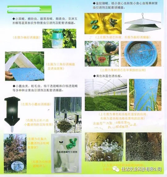 果树害虫性信息素诱芯使用说明