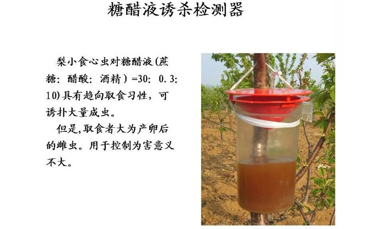 果树病害防治技术