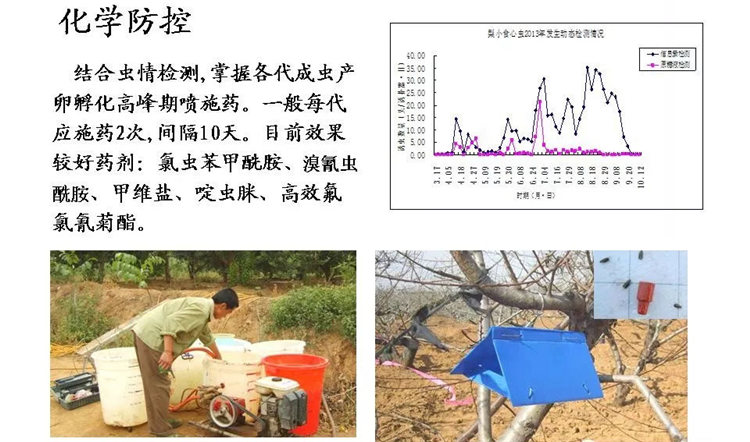 果树病害防治技术