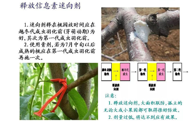 果树病害防治技术