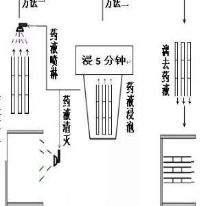 壁蜂乐防治蜂螨使用说明