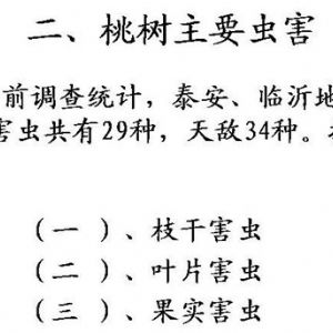 苹果、桃、樱桃主要病害防治技术