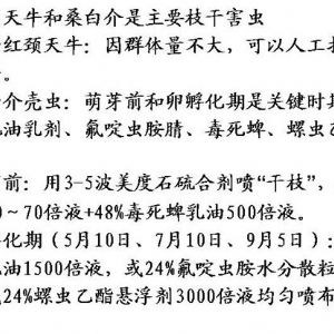 苹果、桃、樱桃主要病害防治技术