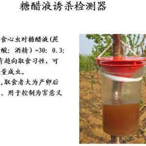 苹果、桃、樱桃主要病害防治技术