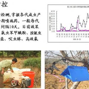 苹果、桃、樱桃主要病害防治技术