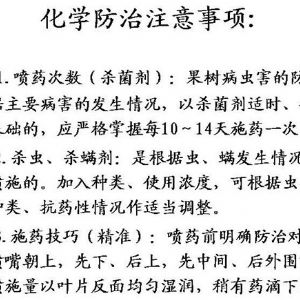 苹果、桃、樱桃主要病害防治技术